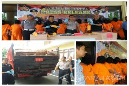Polres Situbondo Segera Limpahkan Kasus Pembalakan Liar Melibatkan Oknum Polisi dan Perhutani (Video)