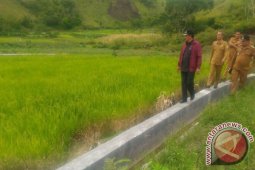 Bupati Samosir Cek Pembangunan Irigasi Sianjur Mula-mula