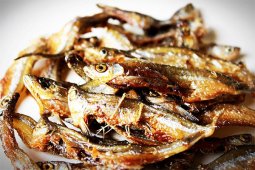 Konsumsi Ikan yang Benar Semakin Diperhatikan Warga