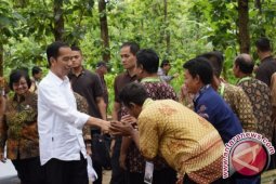 Presiden: Pengembangan Hutan Contoh Norwegia