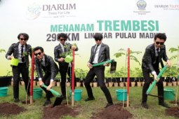Menyegarkan Lingkungan dengan Lingkar Trembesi di Madura