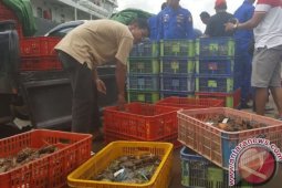 Penjualan Kepiting ke Malaysia Menjanjikan Keuntungan Besar