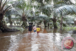 Sungai Garoga Meluap Rendam Pemukiman Warga