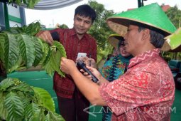 Kemenristedkti Dukung "Science Techno Park" yang Dirintis Unej