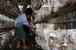 Pendemo Blok Cepu Itu Mulai Berbisnis