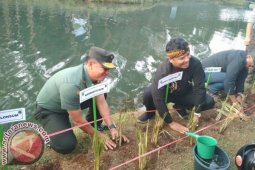 Kodam  Tanam Ribuan Pohon di Hulu Citarum