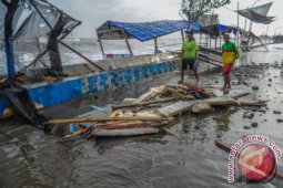 Angin Kencang Tengah Malam di Balikpapan
