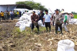 Wabup Situbondo Ingatkan Petani Gunakan Pupuk Organik