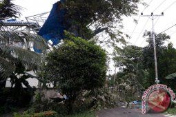 Angin Kencang Rusak Tujuh Rumah Di Pontianak