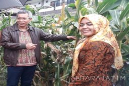 Kementan Dorong Penelitian untuk Tingkatkan Produksi Pangan Nasional (Video)