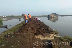 Perbaikan Tanggul Jebol Akibat Rob Dilakukan Secara Swadaya Warga Probolinggo