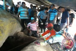 Terjebak di Dalam Lubang, Tiga Penambang Jember Tewas