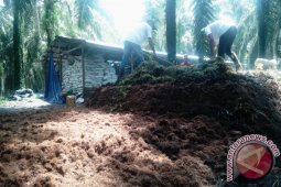 Petani Dataran Kempas Produksi Kompos 1.000 Ton