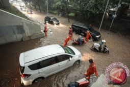 33 Pohon Tumbang di Jakarta Akibat Hujan Angin