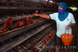 BI Malang Prediksi Ekonomi Tumbuh
