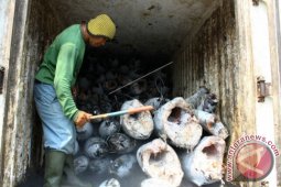 Pemkot Ternate Diminta Bangun Cold Storage