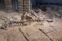 Lembah Garam Zigong "Kuburan" Binatang Purba (Video)