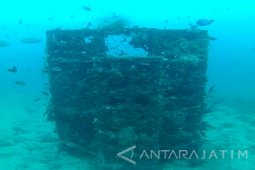 Program Rumah Ikan di Probolinggo Berdampak Positif