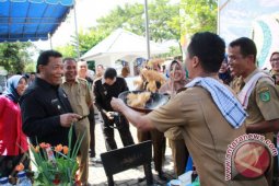 Perlombaan Memasak Warnai Peringatan Hari Ibu