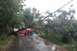 Hujan Deras Disertai Angin Kencang Melanda Pamekasan