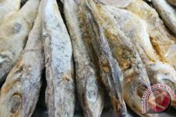 Puskesmas Mahulu Temukan Bahan Makanan Mengandung Formalin