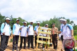 Dinas Lingkungan Hidup Batanghari Tanam 36.000 Pohon