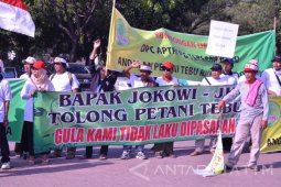 Antisipasi Rembesan, APTRI Nusantara XI Desak Lelang Gula Rafinasi Secara Daring
