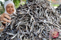 Polres Sambas Amankan 3,7 Ton Teri Malaysia