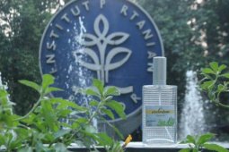 Parfum dari Daun Beluntas Ala Mahasiswa IPB
