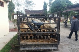 Pencuri rel kereta api diamankan