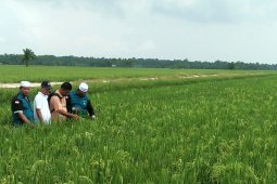 Humas dan protokoler tunggu informasi
