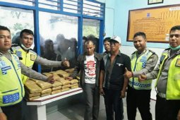 73 bungkus ganja diamankan