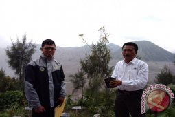 "Surga Edelweis" Eksotisme Baru Bromo-Tengger-Semeru