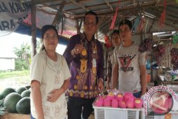 Gubernur Kalsel Ajak Warga Lestarikan Buah Lokal