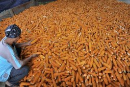 Bupati Pandeglang Siap Laksanakan Instruksi Kementan