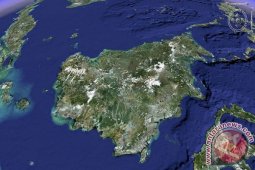 Artikel - Menjaga Meratus Menyelamatkan Dunia
