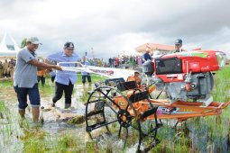 Apkasi Minta Pemerintah Kaji Soal Impor Beras