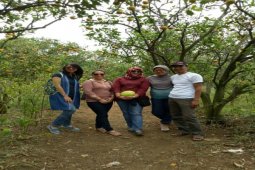 Mengolaborasikan agribisnis wisata "Jeruk Dau" melalui BUMDes