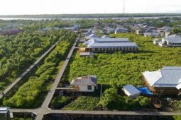 Keindahan Asmat terkoyak campak dan gizi buruk