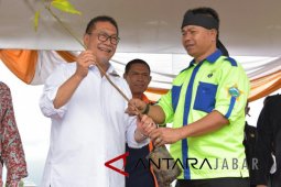 Kawasan hijau Jabar mencapai 37 Persen