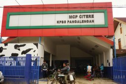 Program MCP bantu peternak hasilkan susu berkualitas
