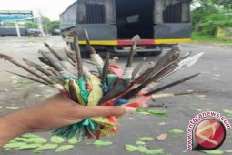 Warga Monjok-Taliwang Serahkan Ratusan Senjata Rakitan 