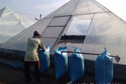 Begini Cara Produksi Garam di Probolinggo Selama Musim Hujan