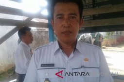 Distankanak Rejang Lebong segera bentuk tim pemantau harga beras