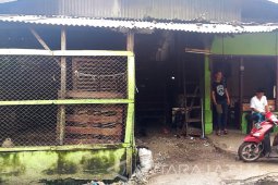 Sidoarjo Minta Pedagang Cari Alternatif Penjualan Ayam