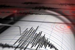 Sedikitnya 25 orang terluka akibat gempa magnitudo 6,2 di Peru