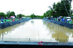 BBI Stops Goldfish and Tilapia Production