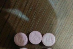 Tapin Police Bust Interdistrict Drug Dealer