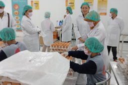 DPKH Probolinggo Ingatkan Pentingnya Sertifikasi NKV
