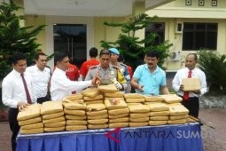 Polres Madina amankan 82 Kg ganja